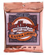 Ernie Ball - Earthwood Phosphor Bronze Extra Light 10-50 
