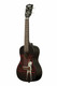 Kala - Concert Ukulele - Learn To Play Elvis Viva Las Vegas