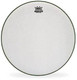 Remo: Ambassador 22