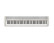 CASIO - Casiotone CT-S1 76 WE 
