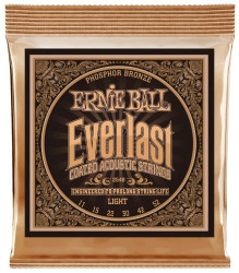 Ernie Ball 2548 Everlast Phosphor Bronze  Light