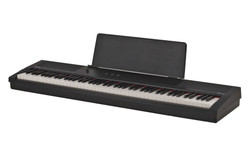 GEWA Portable Piano - German Engineered