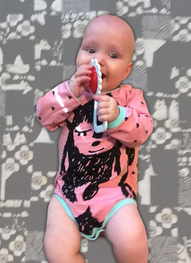 Body, pitkähihainen, useita värejä/kuoseja