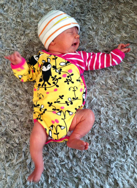 Kietaisubody, useita värejä/kuoseja