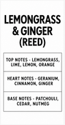 Aventuriini lemongrass & ginger tuoksusetti