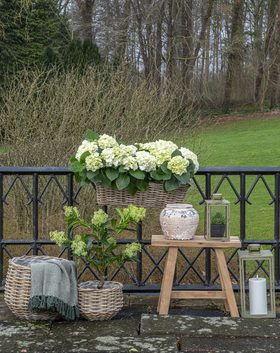 Vihreät Corfu lyhdyt 2 kpl