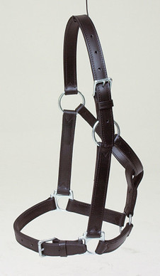 Erikoisvahva  jenkkiriimu