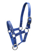 Nailonriimu Crystals varsalle