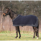 Fleeceloimi Atlantis