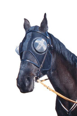 Päänaamari silmäverkoilla