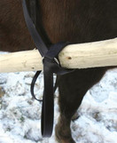 Aisaremmit (setolkkaremmit)