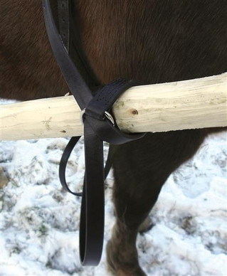 Aisaremmit (setolkkaremmit)