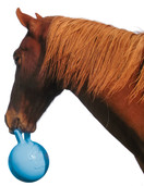 Jolly Ball 20 cm horse and dog leikkipallo 