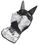 Hyönteishuppu Zebra