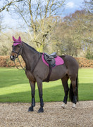 Lemieux Suede Close Contackt estehuopa