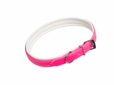 Beta solkipanta koiralle