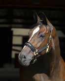 Back On Track Riimu Werano