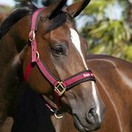 Back On Track Riimu Werano