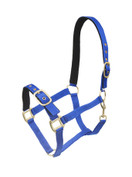 Nailonriimu Avery, kirkas sininen