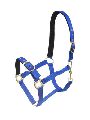 Nailonriimu Avery, kirkas sininen