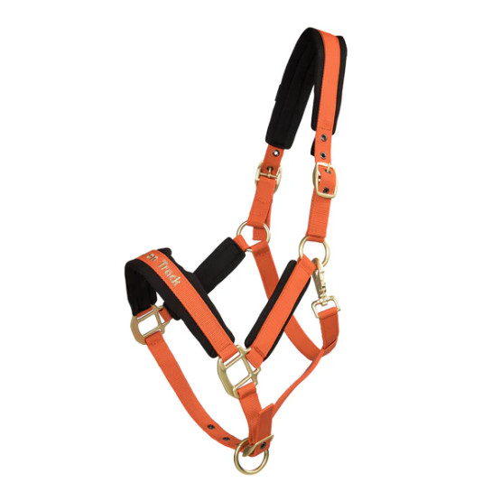 Back On Track Riimu Werano