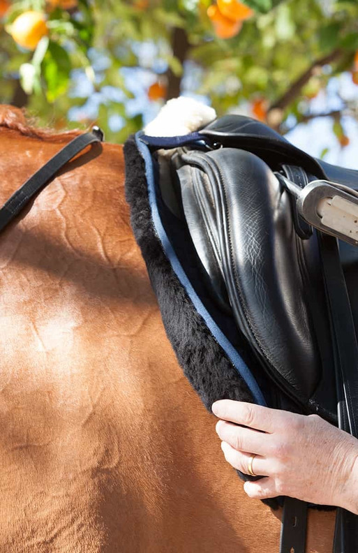 LeMieux Merino+ Sensitive koulusatulahuopa