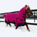 Coverme Pony Fullneck ulkoloimi 100g vanuvuori