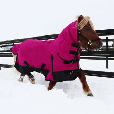 Coverme Pony Fullneck ulkoloimi 100g vanuvuori