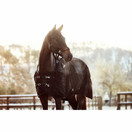 Catago FIR-Tech hoitava loimi 