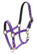 Nailonriimu shetlanninponille