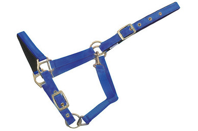 Nailonriimu shetlanninponille