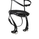 Balance suitset (ajoriimu), nahka