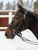 Balance suitset (ajoriimu), nahka