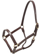 W Premium jenkkiriimu