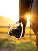 LeMieux Vector Balance jalustimet