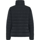 EQ Master Padded Jacket