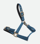 Nailonriimu Avery, petrol