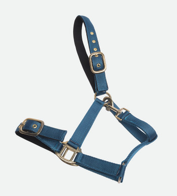 Nailonriimu Avery, petrol