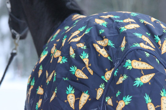 Carrot 150g toppaloimi 600D irrotettavalla kaulakappaleella, tummansininen