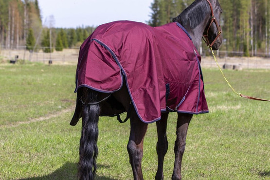 Drop sadeloimi 600D +0g 