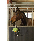 Excellent Horse Foodie Friends heppalelu, omena