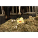 Excellent Horse Foodie Friends heppalelu, päärynä