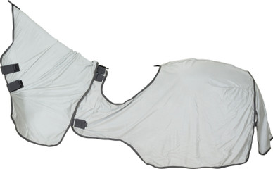 Hyönteisratsastusloimi