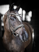 Arika koulusuitset, musta