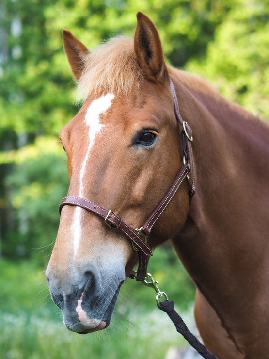 W Premium jenkkiriimu turvalta avattava