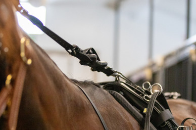 Joustava obersekin takaosa, BioThane, full