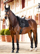 Merino+ koulusatulahuopa lampaankarvalla