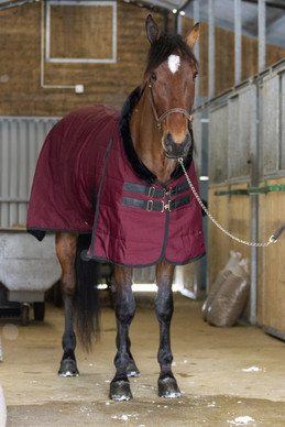 Leona 200g talliloimi pehmeällä keinoturkiskauluksella