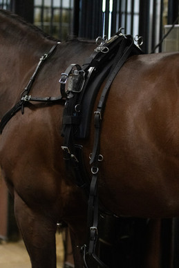 Silapaketti Next Level 2.0 QH, full