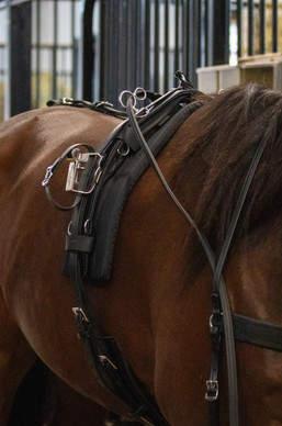 Silakompletti Next Level 2.0 QH full, ohjien pituus 7,5 m